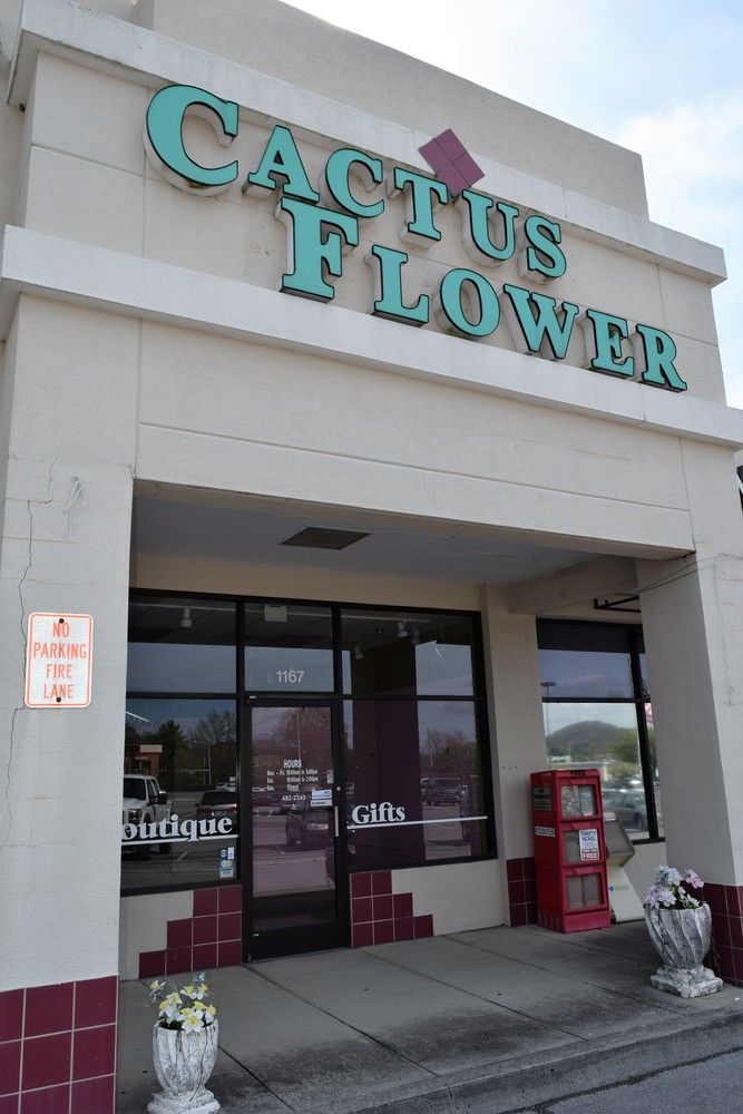 Manhattan Place Shopping Center: 1175 Oak Ridge Turnpike, Oak Ridge, TN 37830